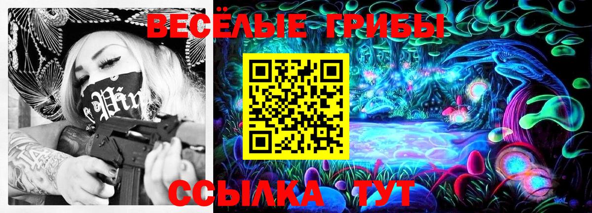 Прохладный  Галлюциногенные грибы Psilocybine cubensis  купить   Псилоцибиновые грибы Magic Shrooms  Вход с VPN 